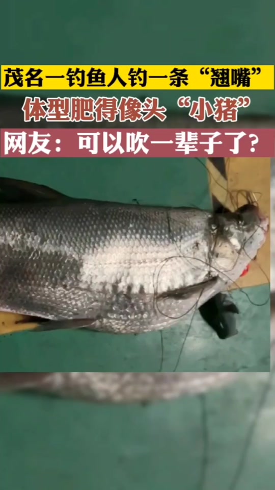 详细阅读:钓成翘嘴是什么意思(把男人钓成翘嘴是什么意思) 钓成翘嘴是什么意思(把男人钓成翘嘴是什么意思)